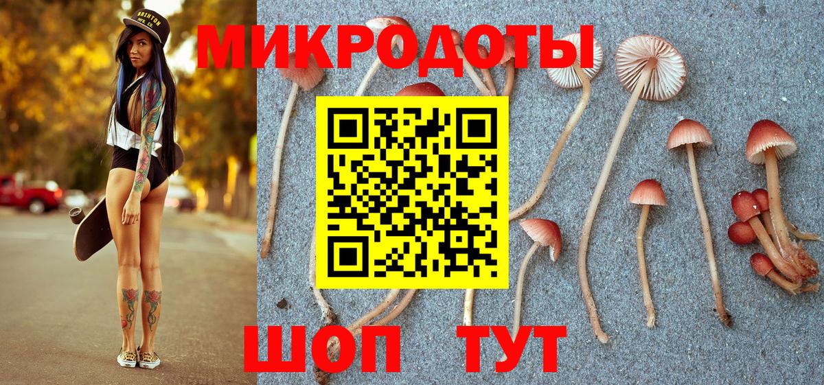 Прохладный  Галлюциногенные грибы Psilocybe  Вход с VPN  Псилоцибиновые грибы Psilocybine cubensis 